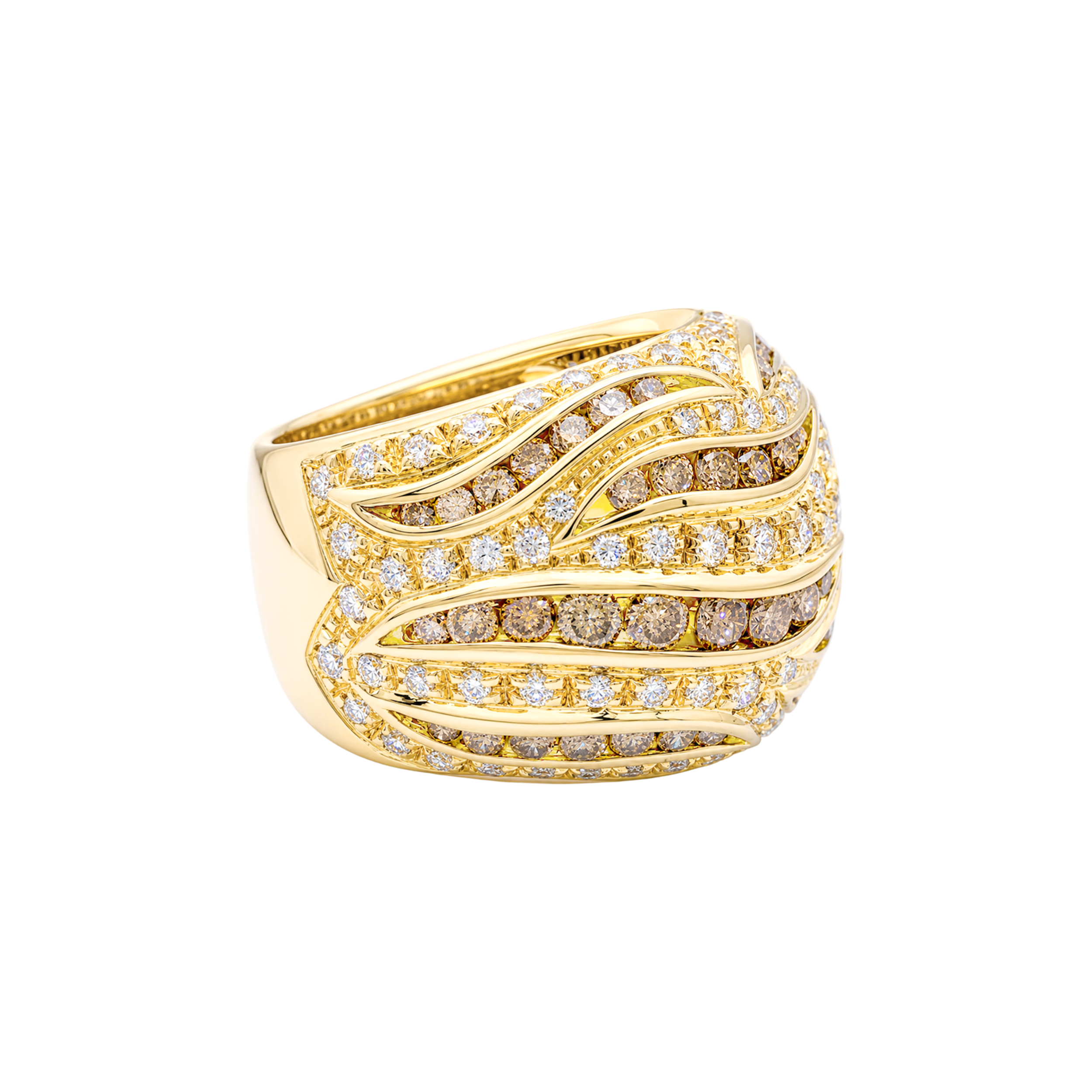 Bague Damiani en or jaune, pavage diamants, diamants bruns. 3