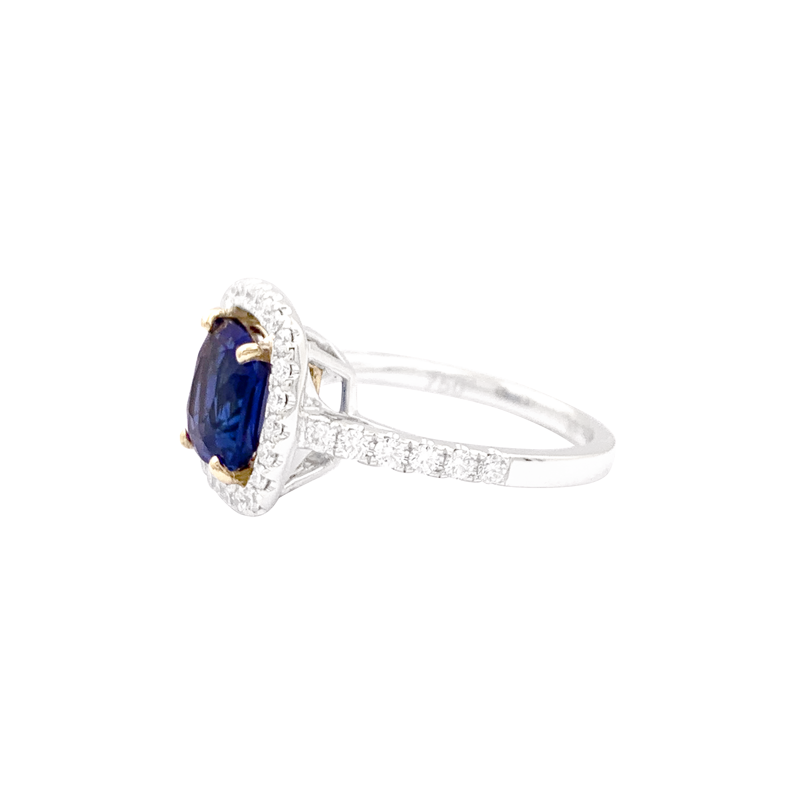 Bague saphir, diamants, deux ors. 5