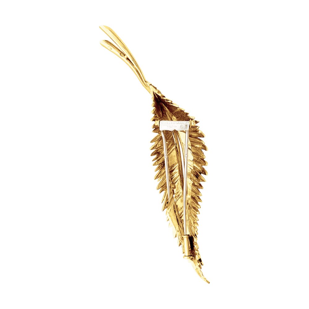 Broche Van Cleef & Arpels, "Plumes", or jaune. 4